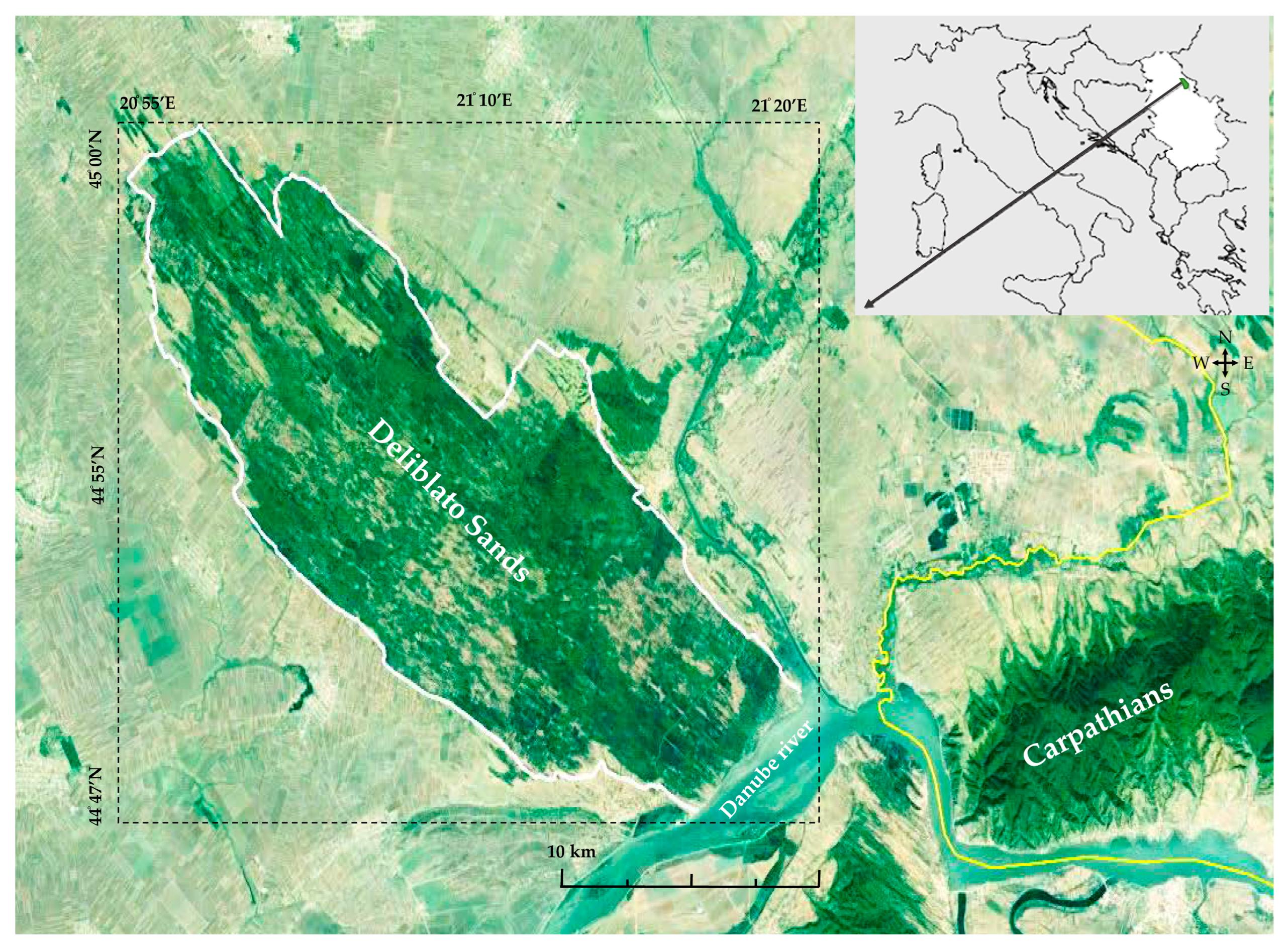 Forests | Free Full-Text | Multi-Year Monitoring of Asclepias ...