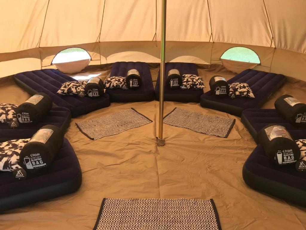 Single Bed in Female Dormitory Room
