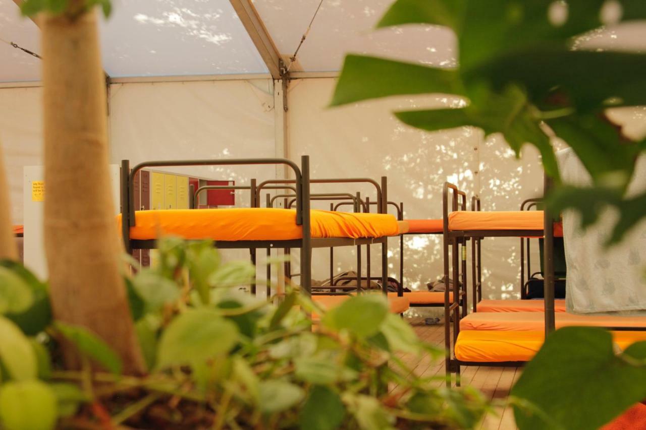 Bunk Bed Mixed Dormitory Tent,1586881708:JPEG