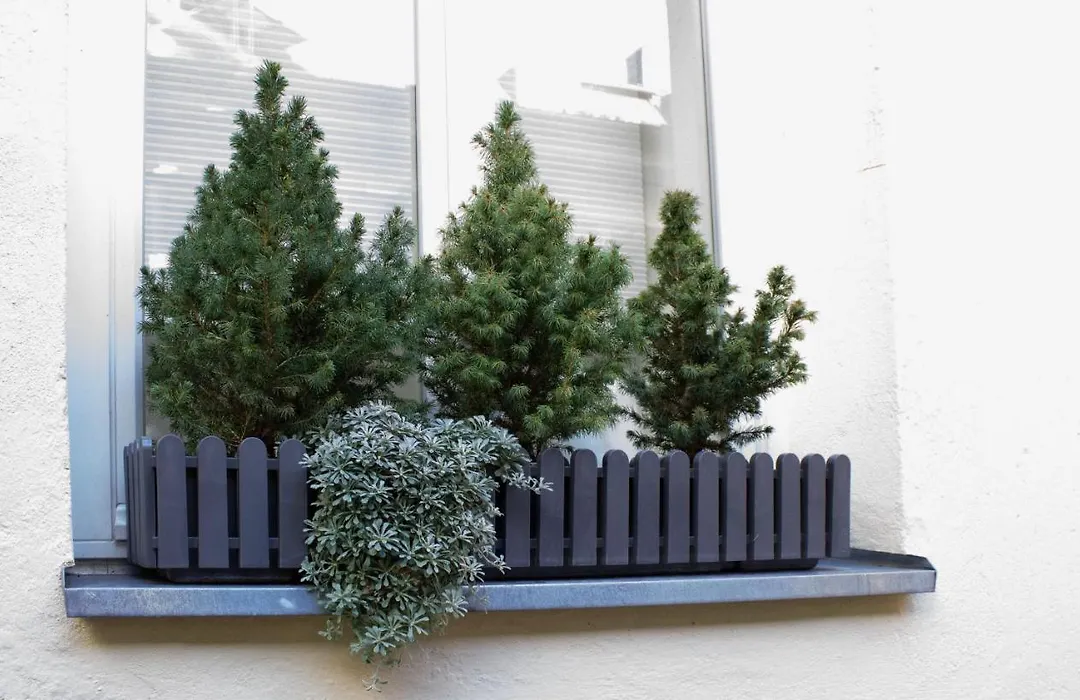 Como Design-Apartment Close To Isar River Area - Centrally Located-1