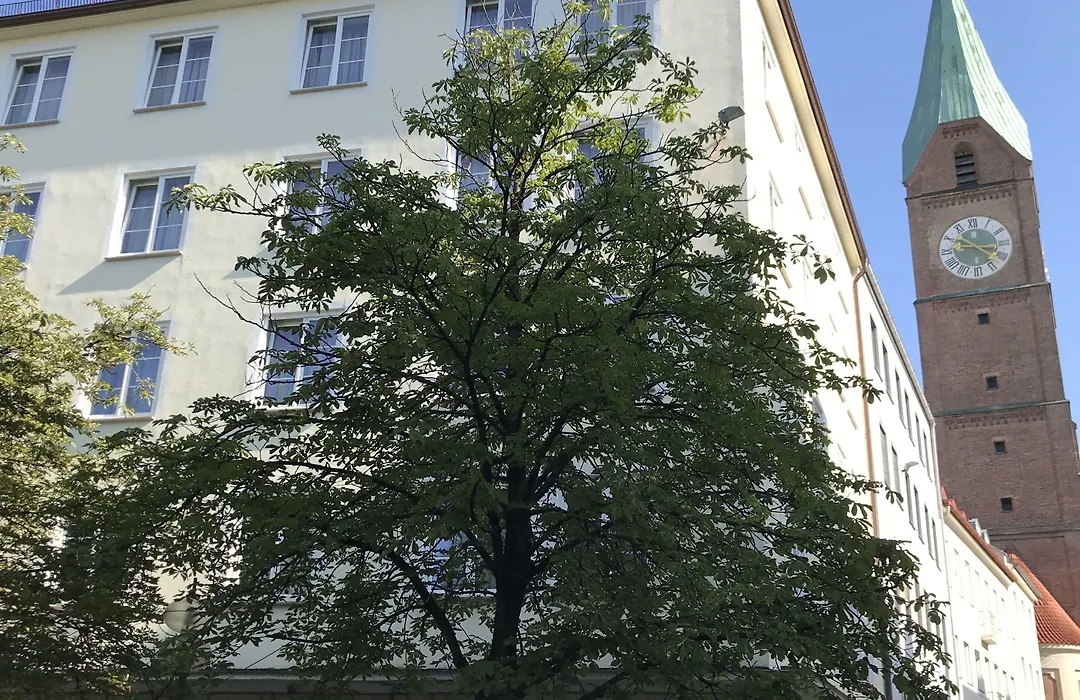 Hotel Der Tannenbaum-1