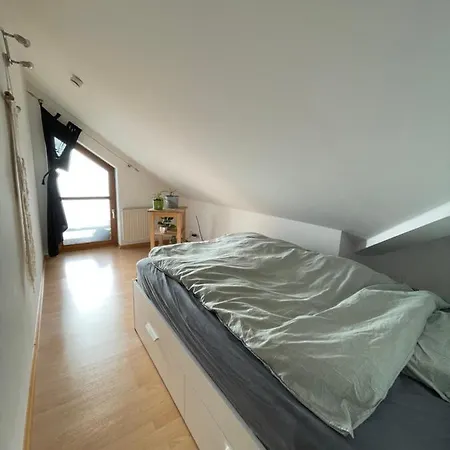 Gemuetliche Ferienwohnung Im Maerchenviertel-3