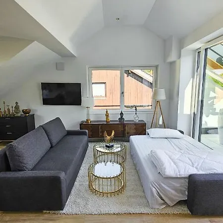 Luxus Dachgeschoss 80M² City Wohnung-3