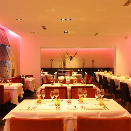 Hotel Blauer Bock-3
